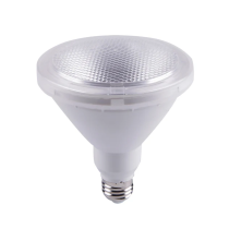 PAR38 LED Globes SUB3