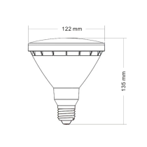 PAR38 LED Globes SUB3