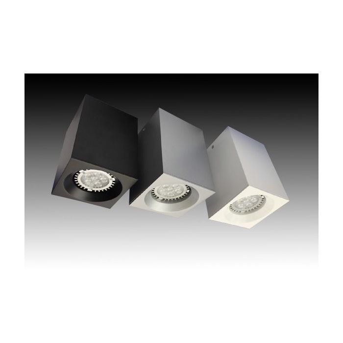 Cuboid Metal GU10 Surface Mounted Downlight White (GU635LWH) Gentech Lighting