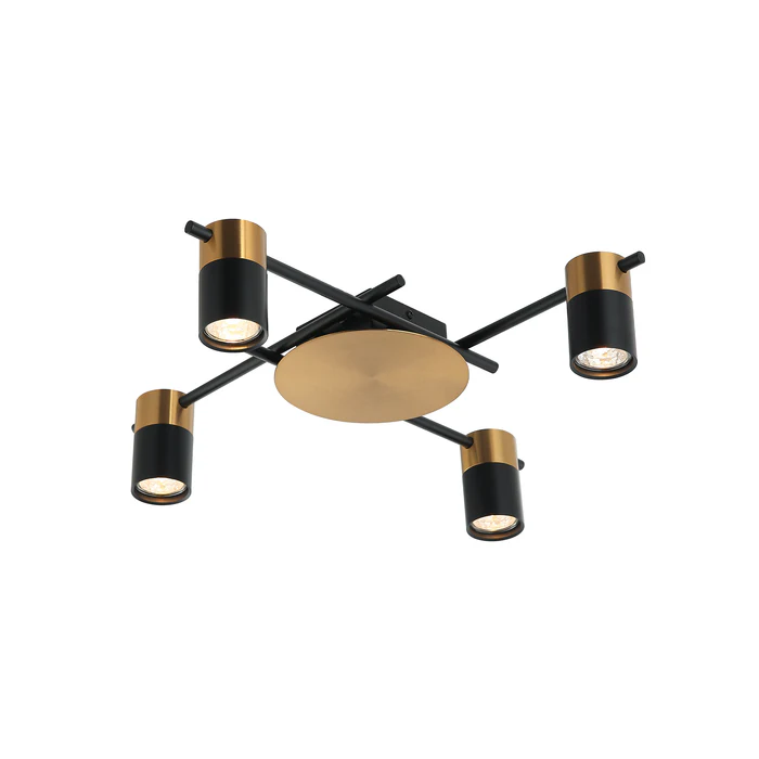 Interior Spot Ceiling 4 Lights with Adjustable Heads TACHE5