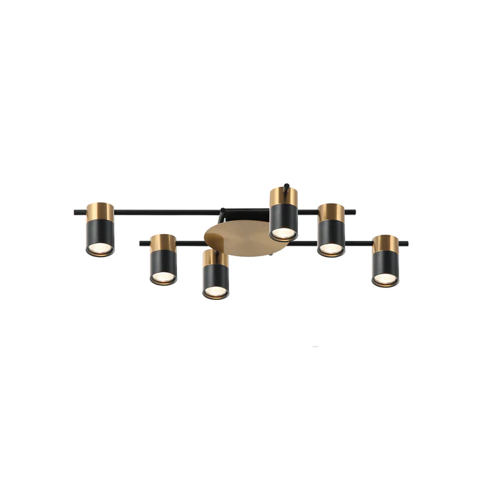 Interior Spot Ceiling 6 Lights with Adjustable Heads TACHE6