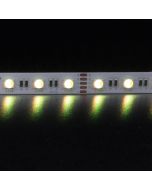 Strip 19.2 Watt 24V LED 1 Metre Flexible Strip Light / RGBWW - 20033	