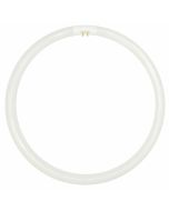 LUSION T5 circular fluorescent lamps 40w LUS30510