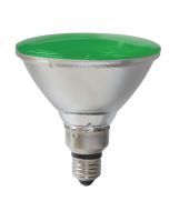 Green PAR38 12W LED Light Bulb - 20827