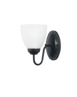 ROCHESTER WALL LIGHT BLACK / FROST OL65321/1BK